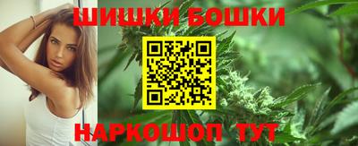 мдпв Обь
