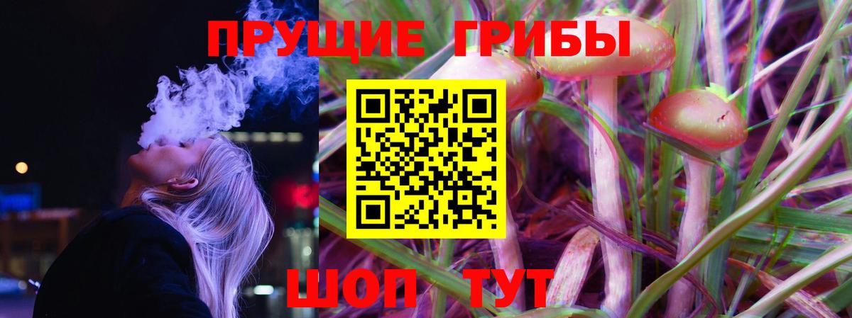 Галлюциногенные грибы GOLDEN TEACHER  хочу наркоту  Тамбов  Вход с VPN 